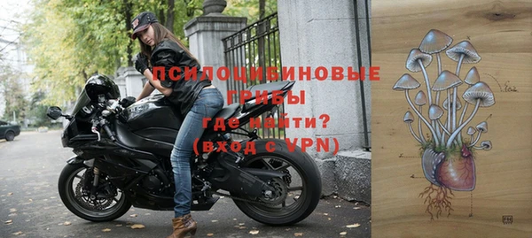 не бодяженный Нязепетровск